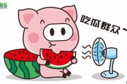 娱乐吃瓜酱蠢人,蠢人生涯的趣味解读